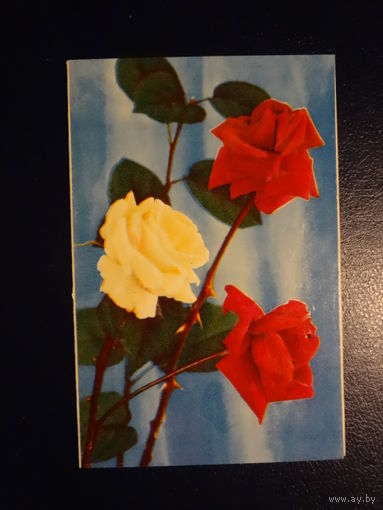 Желаем счастья! Розы. 1971 г. подписанная. двойная.