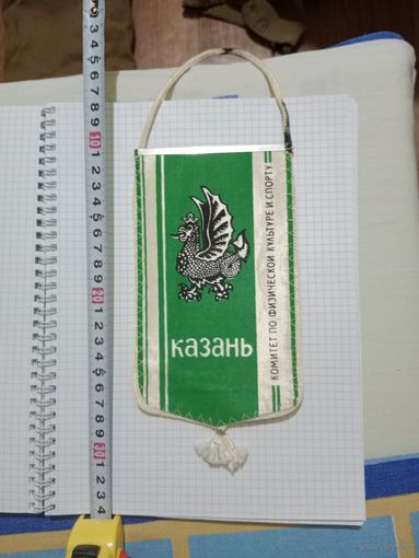 Спортивный вымпел