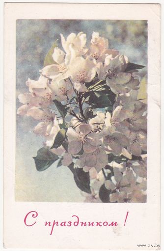 Открытка 1968 (386)