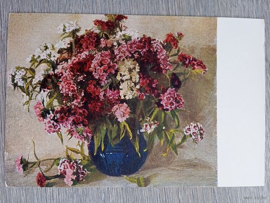 1953. Орлова. Гвоздики