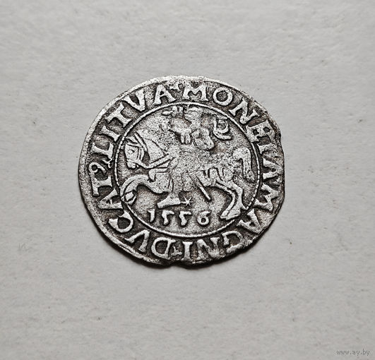 Полугрош 1556 г. Сигизмунд II Август, Вильно, лот рп-4,6