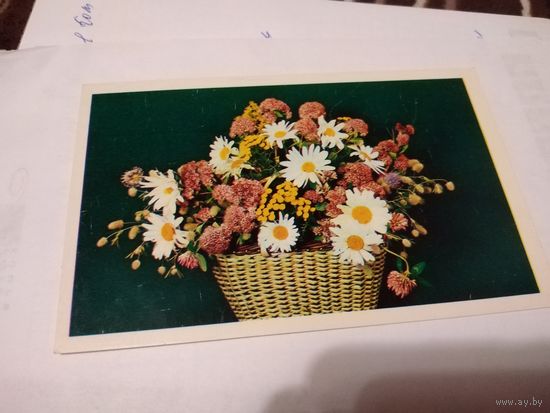 Открытка 1977г.