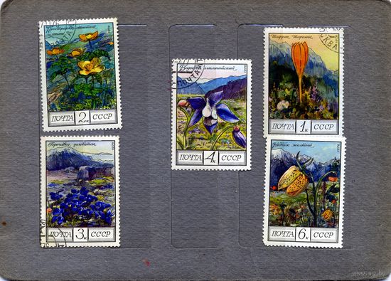 СССР, 1976,  Цветы  Кавказа   серия 5м.  гашеная