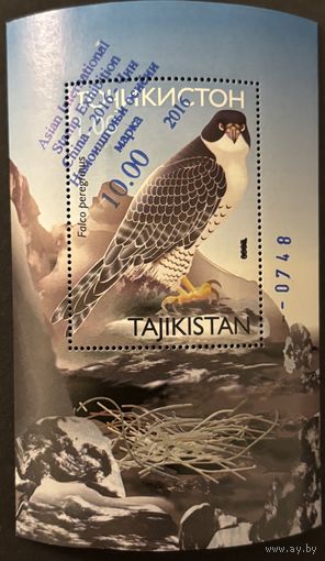 Таджикистан 2016 Фауна Хищные птицы. Надпечатка на блоке Блок  MNH
