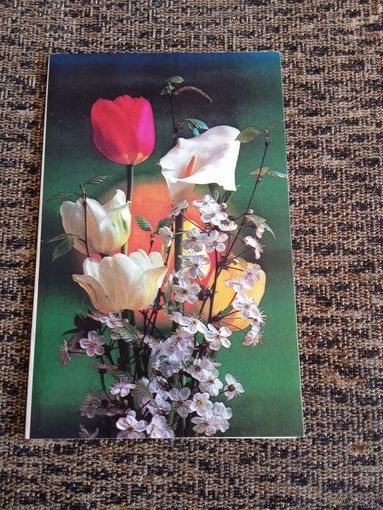 ОТКРЫТКА.ПОЗДРАВЛЯЮ.худ КОСТЕНКО.ДВОЙНАЯ ЧИСТАЯ.1976.