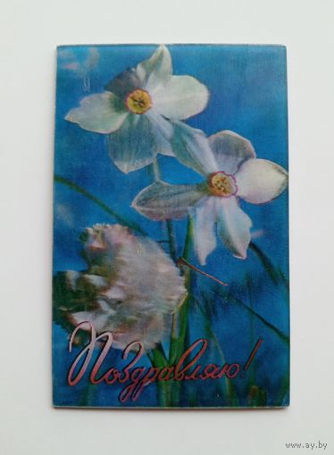 Стереофото В.Емельянова Поздравляю!. 1980 г. Чистая