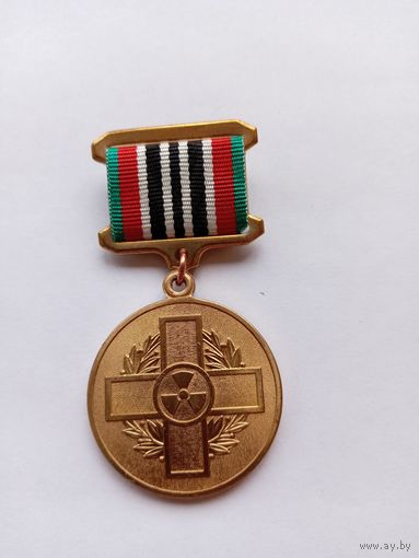 В память ликвидации катастрофы на ЧАЭС. Малая колодка.