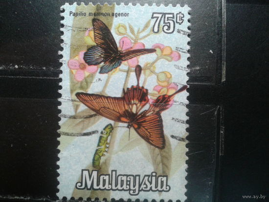 Малайзия, 1970. Бабочки