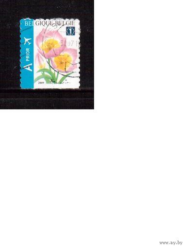 Бельгия-2009 (Мих.3918) ,  гаш. , Флора, Цветы, Стандарт