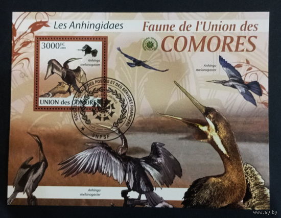 ЛИСТ ФАУНА ПТИЦЫ  СТО