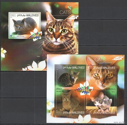 Мальдивы 2014 Фауна Домашние Животные Кошки MNH Блок + лист 4 марки