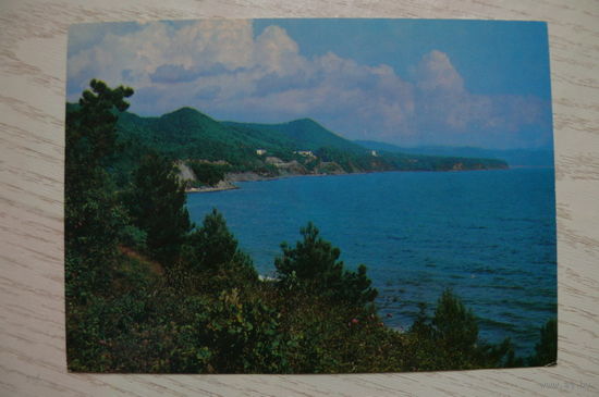 Краснодарский край. Окрестности Туапсе; 1981, 1982, чистая.