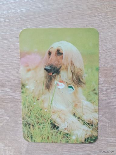 Календарик 1991