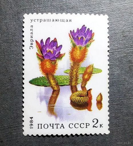 Марка СССР 1984 Водные растения