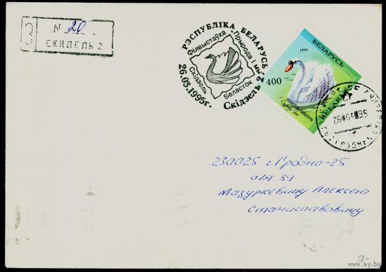 Беларусь 1995 год Конверт со спецгашением Филателистическая выставка Природа и мы