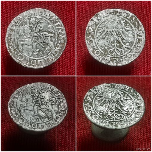 Полугрош 1564 года