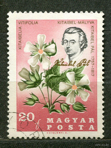 Цветы. Ботанический сад. Венгрия. 1967