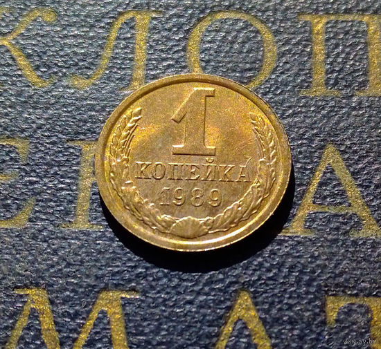 1 копейка 1989 СССР #23