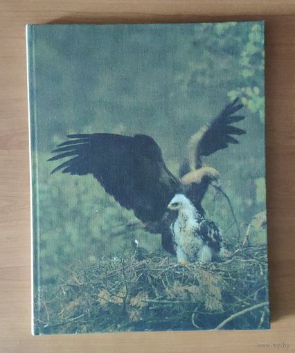 Спатканне з лесам. Фотоальбом