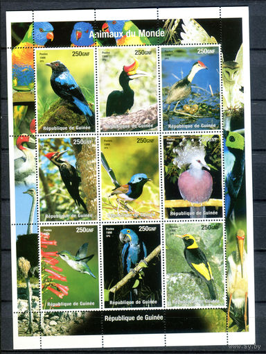 Гвинея - 1998г. - Птицы - полная серия, MNH - 1 малый лист