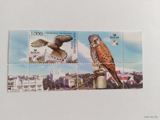 Беларусь  2010  м+куп птица года