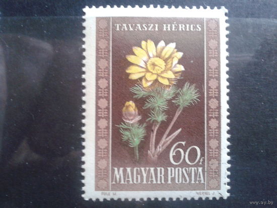Венгрия 1950 Адонис