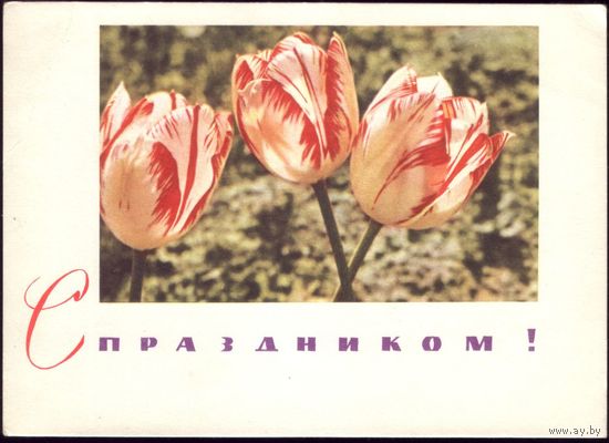 1968 год И.Кропивницкий С праздником!