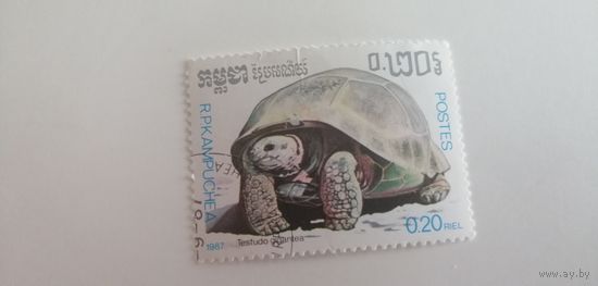 Камбоджа 1987. Рептилии
