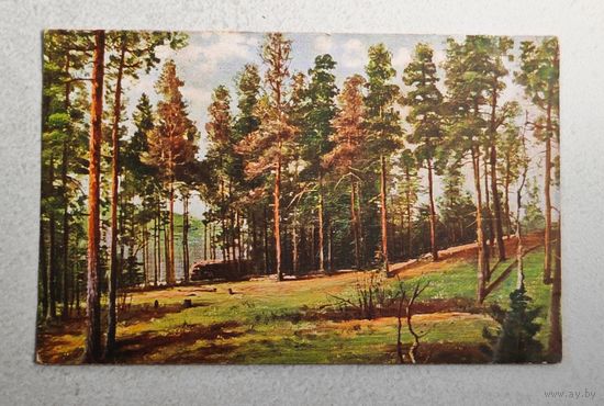 1908 год Либава  Открытка