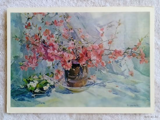 Цветкова. Японская айва