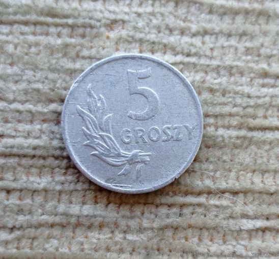 Werty71 Польша 5 грошей 1949 алюминий большая редкая