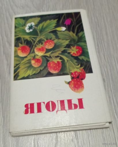 Ягоды. Полный набор: 16 открыток. Издательство "Изобразительное искусство". 1973