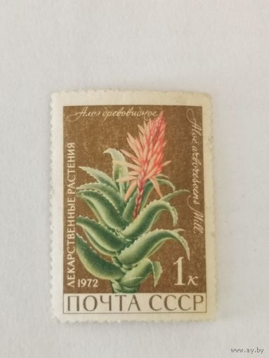 Марка из серии "Лекарственные растения" - Алоэ древовидное