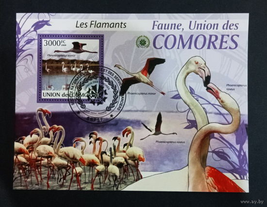 ЛИСТ ФАУНА ПТИЦЫ  СТО