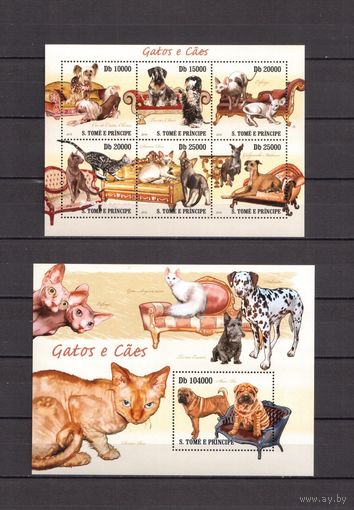 Сан Томе и Принсипи 2010 Mi ST 4308-14 - Фауна домашние кошки - 1 лист + 1 блок MNH**