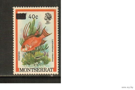 Монтсеррат-1983(Мих.513F) , **    , Морская Фауна , Рыбы,Надп.