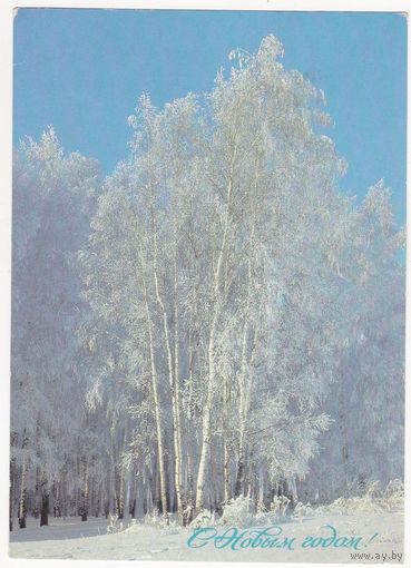 Открытка 1988 (378)