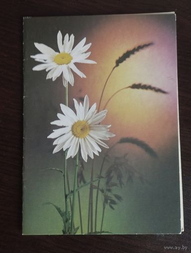 Поздравляю. Чистая. Двойная.1978г.