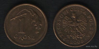 Польша y276 1 грош 2005 год MW VF (6873_-ksu010