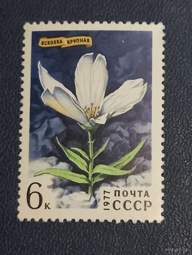 Ясколка крупная. СССР 1977г.