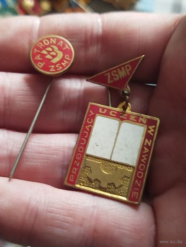 Союз социалистической молодежи Польши ,тяжёлые