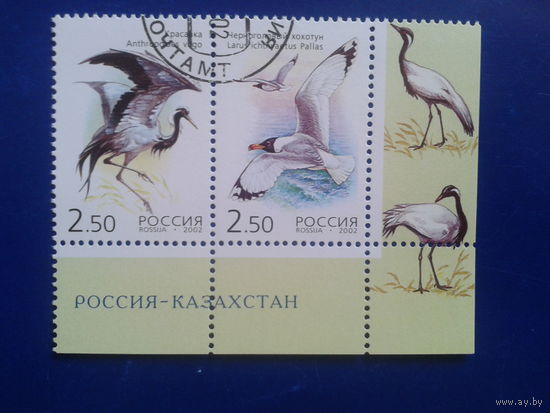 Россия 2002 Птицы, совм. выпуск с Казахстаном с клеем ьез наклеек
