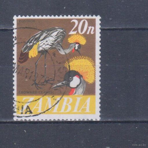 [324] Замбия 1968. Фауна.Птицы.Венценосный журавль. Гашеная марка.