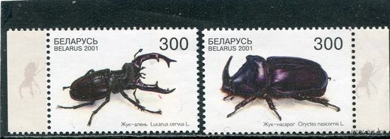 Беларусь 2001. Фауна. Жуки