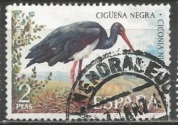 Испания. Чёрный аист. 1973г. Mi#2030.