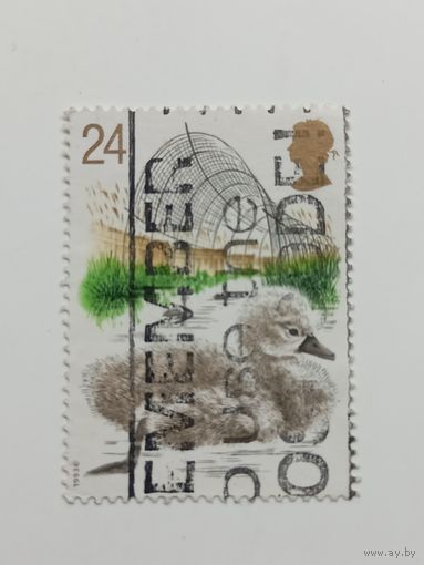 Великобритания 1993. Лебеди