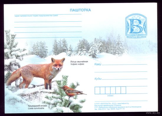 2010 год Лисица и крестоклюв-еловик