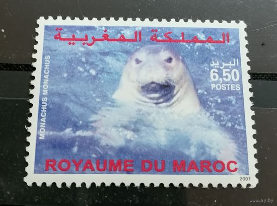 Марокко 2001