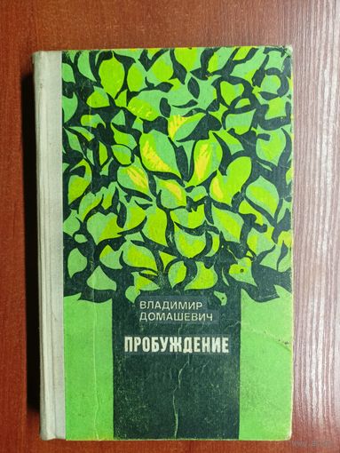 Владимир Домашевич "Пробуждение"