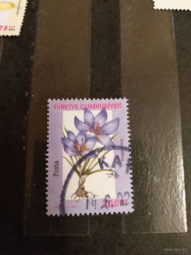 2000 Турция флора цветы дорогая (3-13)